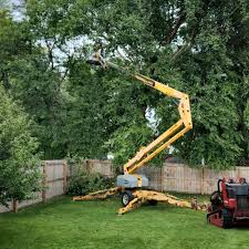 Best Weed Control  in Perry Park, CO